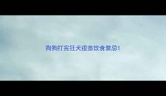狗狗打完狂犬疫苗饮食禁忌