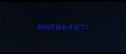 狗狗开始长牙齿了