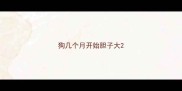 狗几个月开始胆子大