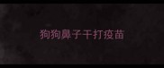 狗狗鼻子干打疫苗