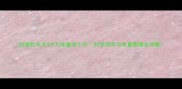 边境牧羊犬4个月体重多少斤科学饲养与体重管理全攻略