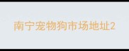 南宁宠物狗市场地址