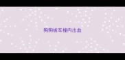 狗狗被车撞内出血