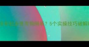 如何科学训练拉布拉多使用狗厕所5个实操技巧破解幼犬如厕难题