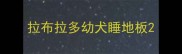 拉布拉多幼犬睡地板