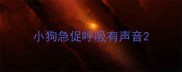 小狗急促呼吸有声音