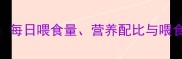 拉布拉多科学喂养全攻略每日喂食量营养配比与喂食技巧附成长阶段指南