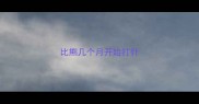比熊几个月开始打针