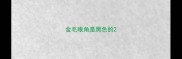 金毛眼角是黑色的