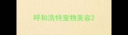 呼和浩特宠物美容