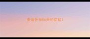泰迪怀孕56天的症状