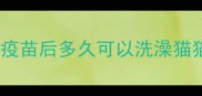打疫苗后多久可以洗澡猫猫