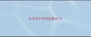 斗牛几个月可以带出门