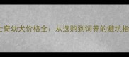 哈士奇幼犬价格全从选购到饲养的避坑指南