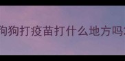 狗狗打疫苗打什么地方吗