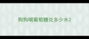 狗狗喝葡萄糖兑多少水