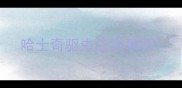 哈士奇驱虫注意事项