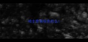 哈士奇有棕色的么