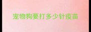 宠物狗要打多少针疫苗