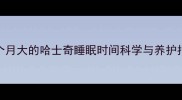 两个月大的哈士奇睡眠时间科学与养护指南
