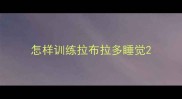 怎样训练拉布拉多睡觉
