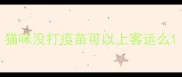 猫咪没打疫苗可以上客运么