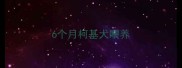 6个月柯基犬喂养