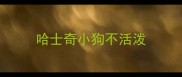 哈士奇小狗不活泼