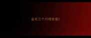 金毛三个月喂食量
