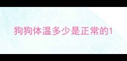 狗狗体温多少是正常的
