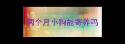 两个月小狗能寄养吗