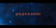 金毛成年多长时间