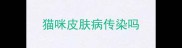 猫咪皮肤病传染吗