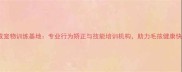 广州权威宠物训练基地专业行为矫正与技能培训机构助力毛孩健康快乐成长