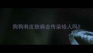 狗狗有皮肤病会传染给人吗