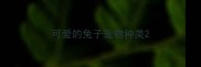 可爱的兔子宠物种类