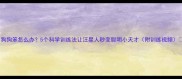 狗狗笨怎么办5个科学训练法让汪星人秒变聪明小天才附训练视频