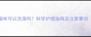 未接种疫苗的猫咪可以洗澡吗科学护理指南及注意事项附清洁步骤