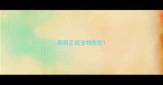 南阳正规宠物医院