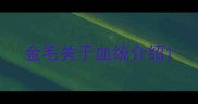 金毛关于血统介绍