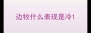 边牧什么表现是冷