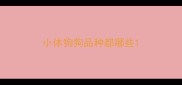 小体狗狗品种都哪些