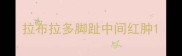 拉布拉多脚趾中间红肿