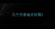 几个月泰迪犬好看