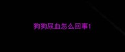 狗狗尿血怎么回事
