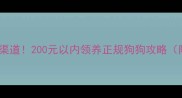 宠物领养低价渠道200元以内领养正规狗狗攻略附避坑指南