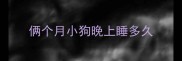 俩个月小狗晚上睡多久