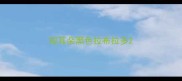 短耳朵黑色拉布拉多