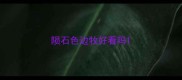 陨石色边牧好看吗