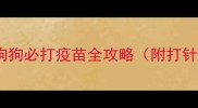 六联疫苗价格狗狗必打疫苗全攻略附打针注意事项